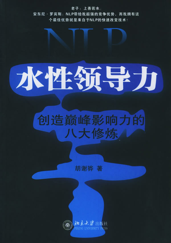 NLP实践指南-NLP执行师道路是什么