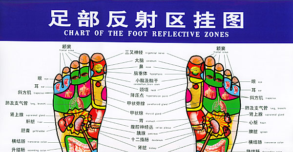 足部反射区挂图+最新报价