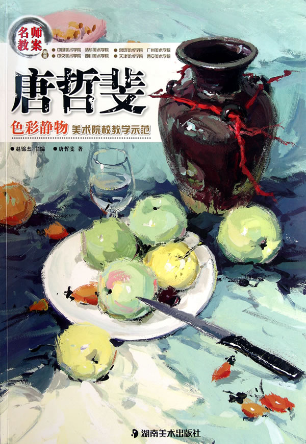 名师教案美术院校教学示范:唐哲斐色彩静物(新版)