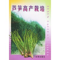 芦笋高产栽培