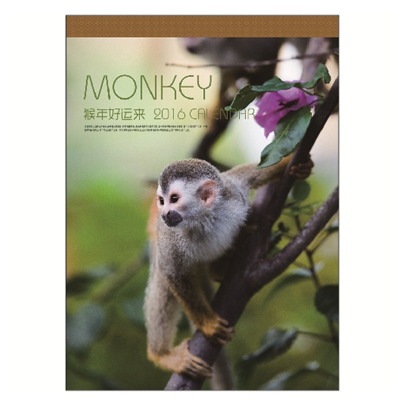 【2016绽美对开十三张铜板纸月历挂历猴年好