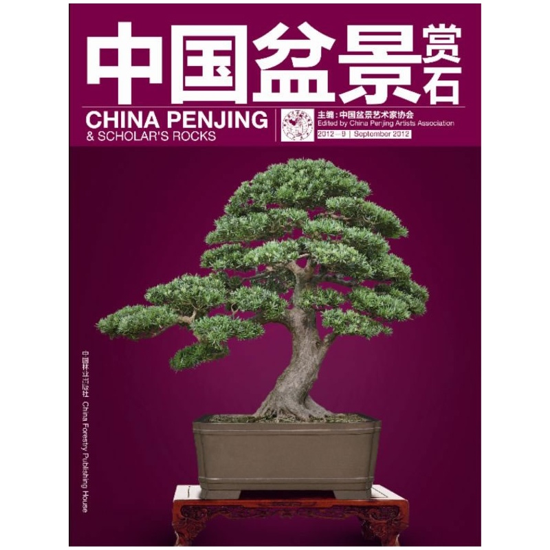 辰ʯ20129