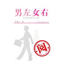 男左女右（石钟山机关小说）
