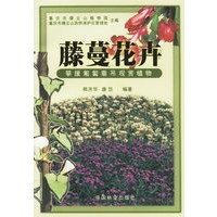 藤蔓花卉/攀援匍匐垂吊观赏植物