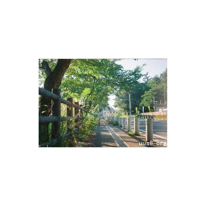 【2015年广西壮族自治区选调生考试《行政职