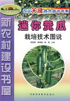 迷你黄瓜栽培技术图说