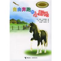 自由奔跑的小野马——卡斯托尔少儿文学系列