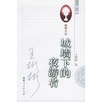城墙下的夜游者 瞻顾文丛第一辑