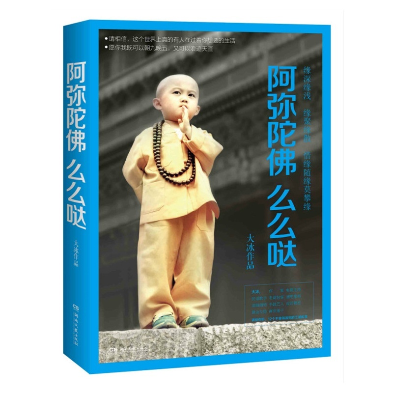 【大冰的书 大冰作品 大冰 阿弥陀佛么么哒 大冰 作品(百万畅销书《乖,摸摸头》大冰2015新书!)图片】高清图_外观图_细节图-当当网