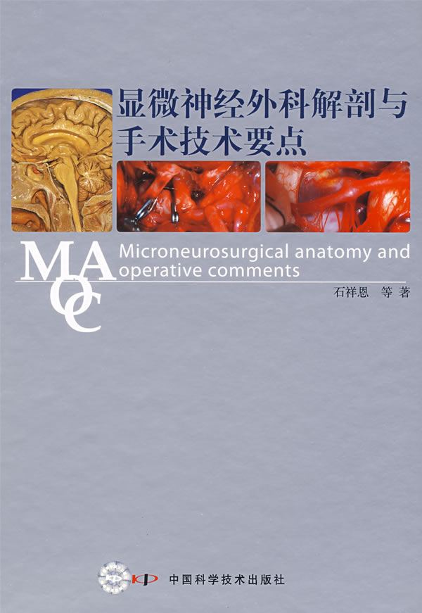 显微神经外科解剖与手术技术要点下载 - Rain.
