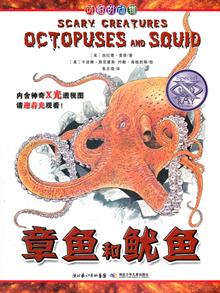 可怕的鱿鱼.鹦鹉和回事动物抓痒掉毛怎么章鱼图片