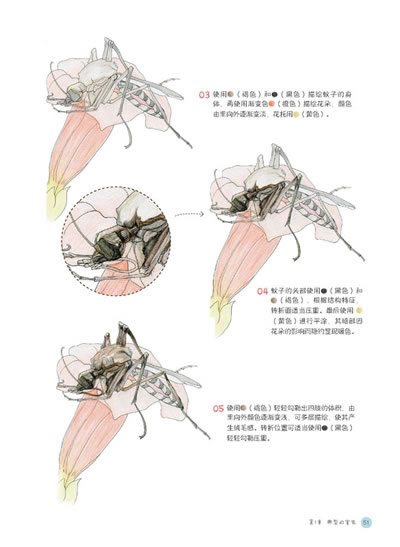 rt7ɫǦʻ滭ʵý̳̳ŷӾʵ97872516
