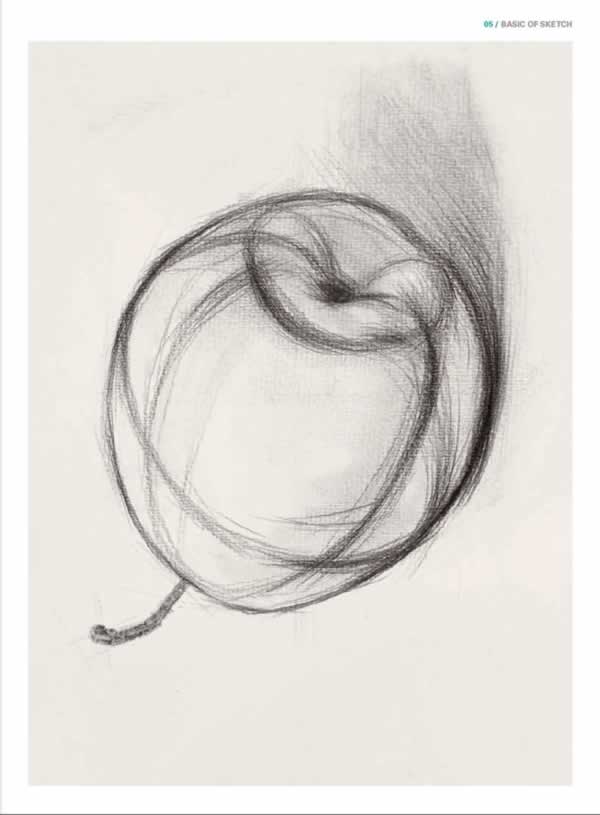敲门砖系列:绘画基础教程——素描基础:素描
