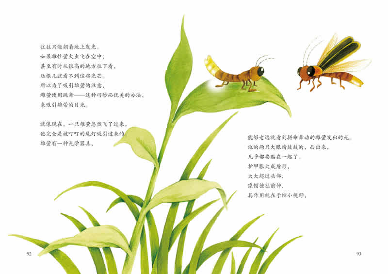【rt4】法布尔昆虫记8:夏夜里的小灯笼—萤火虫(国内动漫名家倾力打造