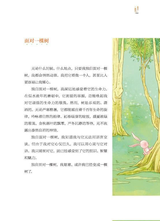 幼儿园散文诗教案怎么写_幼儿散文_关于雨的幼儿散文