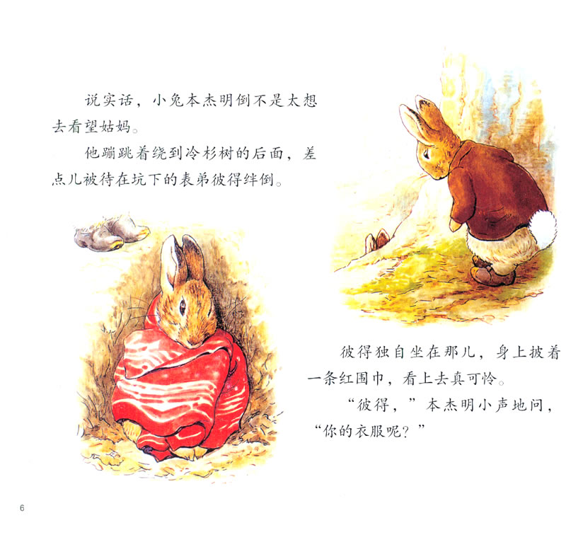 插图