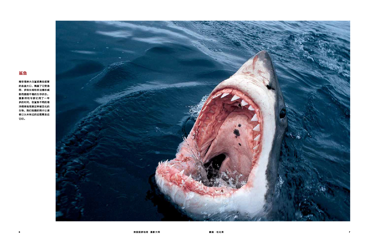 《美国国家地理摄影大师:戴维?杜比莱(美国《