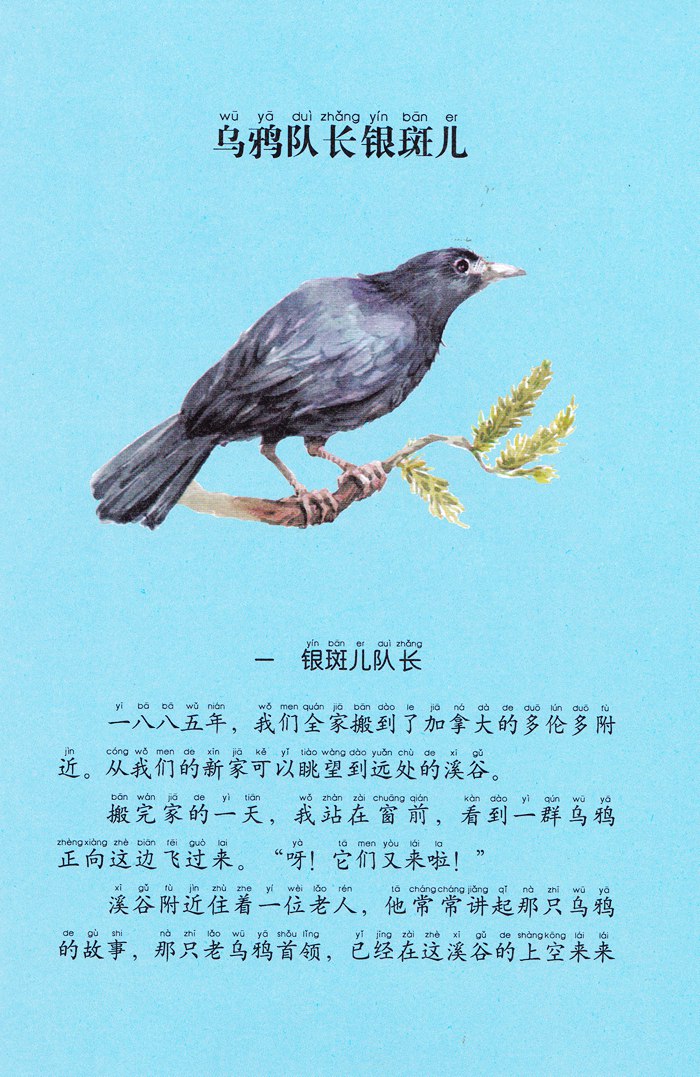 西顿动物小说全集(彩绘拼音版)——乌鸦队长银斑儿
