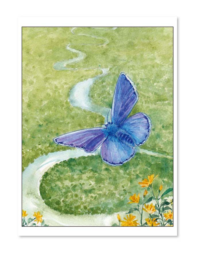 会讲故事的兔子(张之路最新作品\/从小作文到大