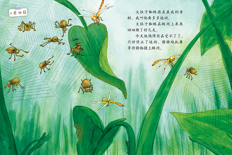 插图