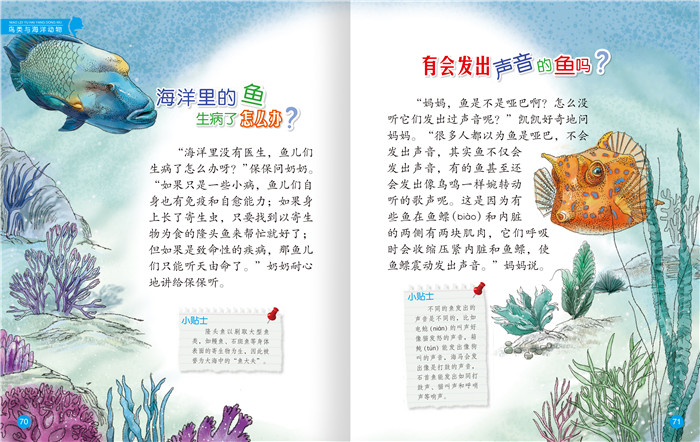 插图