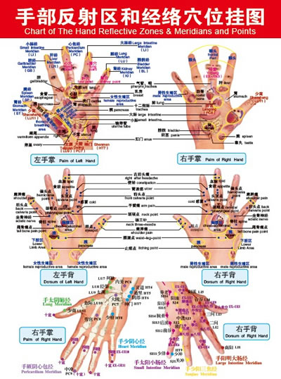 手部反射区和经络穴位挂图