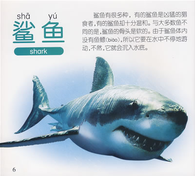 宝宝第1本小百科:水生动物