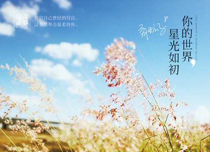 正版 你的世界,星光如初 青罗扇子 著 新世界出