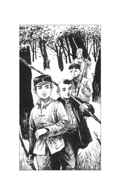 插图