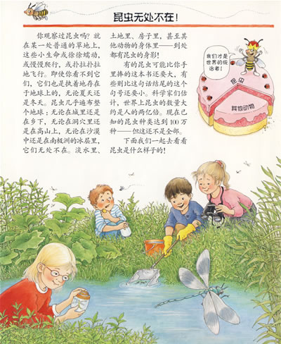 插图