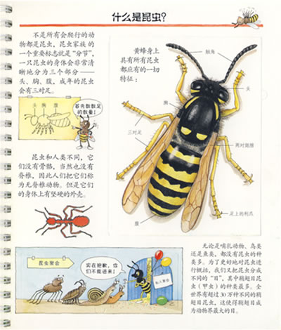 插图