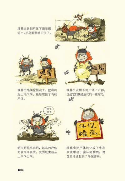 插图