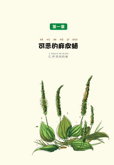 插图