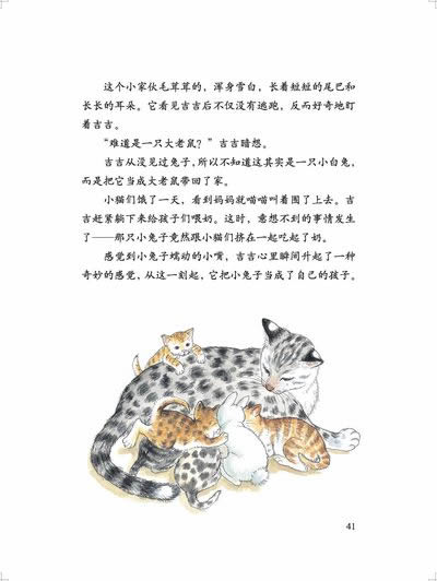 插图