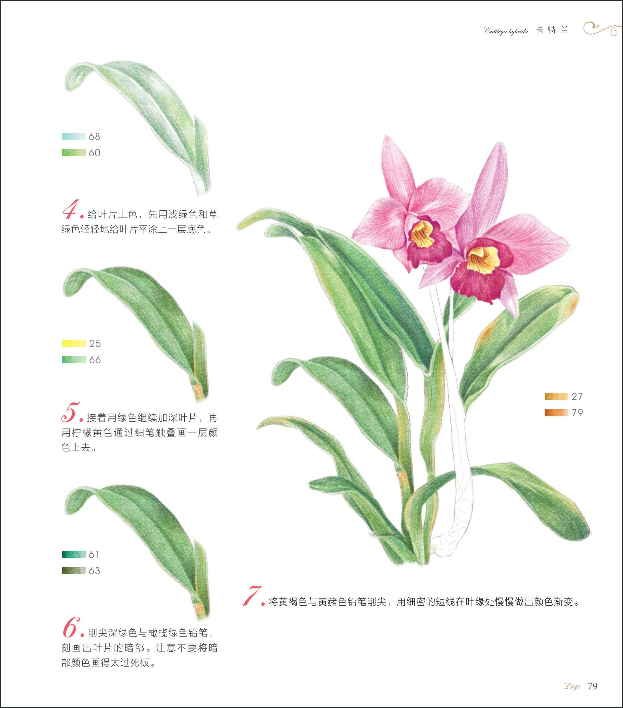 花之绘iv_铅笔画_艺术培养_儿童启蒙,绘本,文学_文迪借书网,给书一双