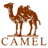 CAMEL骆驼男装旗舰店