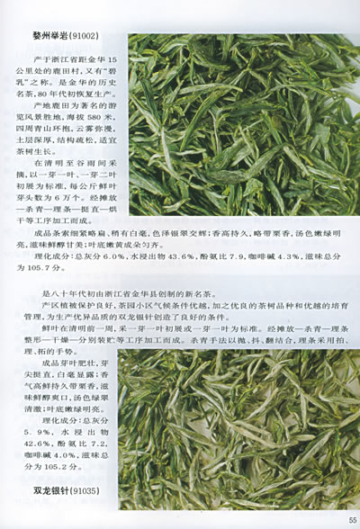 简谱绿茶_绿茶女动漫头像(3)